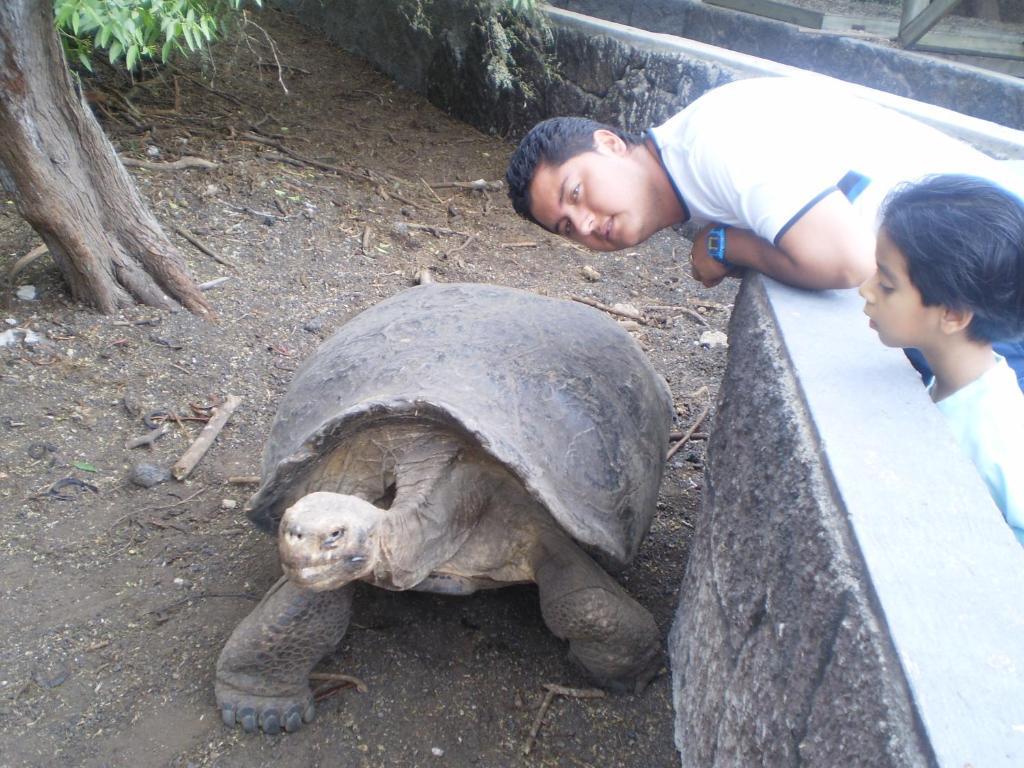 Hostal La Gran Tortuga ปวยร์โต วิลยามิล ภายนอก รูปภาพ