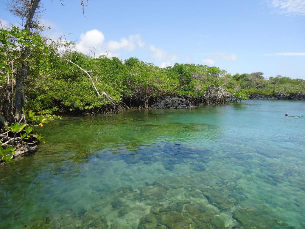 Hostal La Gran Tortuga ปวยร์โต วิลยามิล ภายนอก รูปภาพ