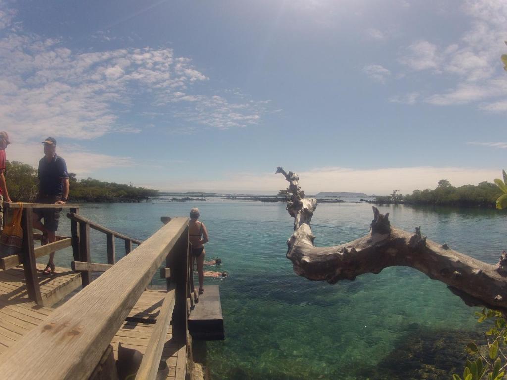 Hostal La Gran Tortuga ปวยร์โต วิลยามิล ภายนอก รูปภาพ