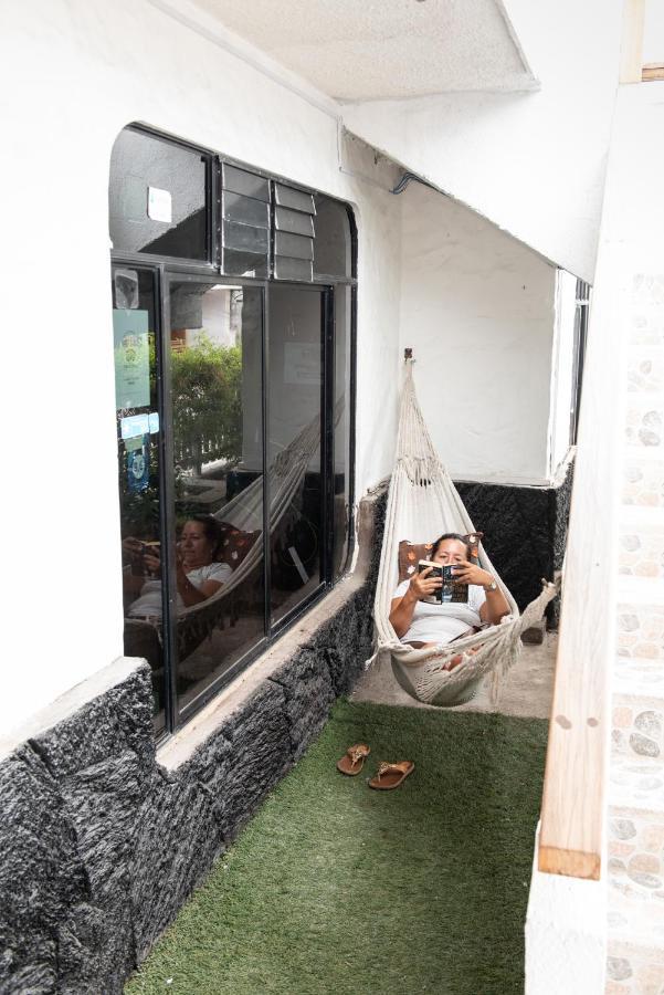 Hostal La Gran Tortuga ปวยร์โต วิลยามิล ภายนอก รูปภาพ